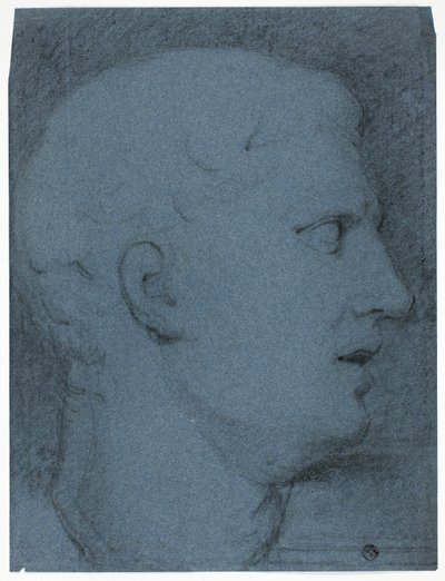 Profil de tête d
