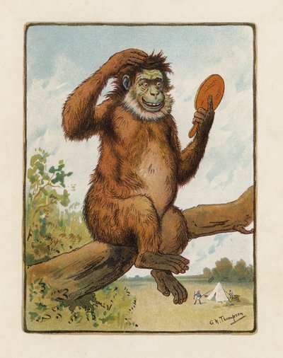 Le Singe - George Henry Thompson