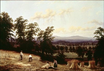 Meules de foin près d