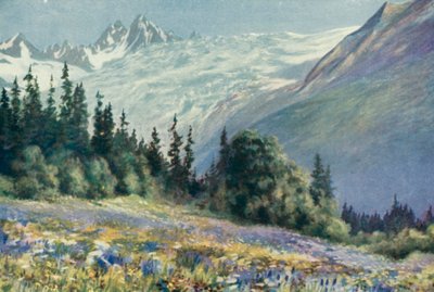 Campanule et autres fleurs de juillet sur le Col des Montets - George Jackson Flemwell