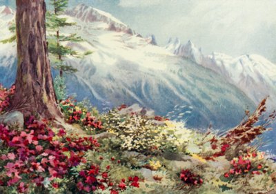 Mont Blanc et l