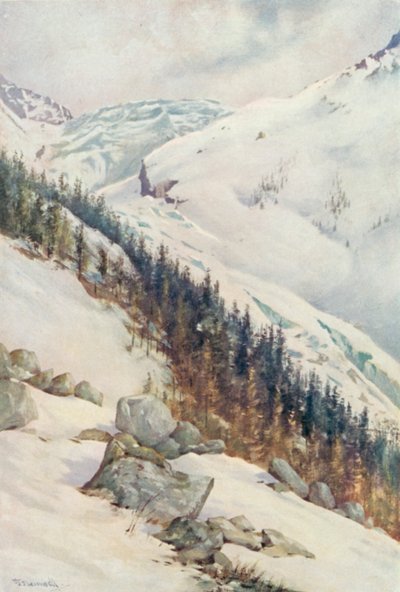 Le glacier d