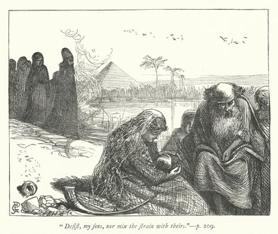 Illustration pour La Captivité - George John Pinwell
