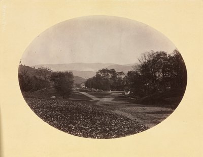 Une route à Williamstown, vers 1870 - George Kendall Warren