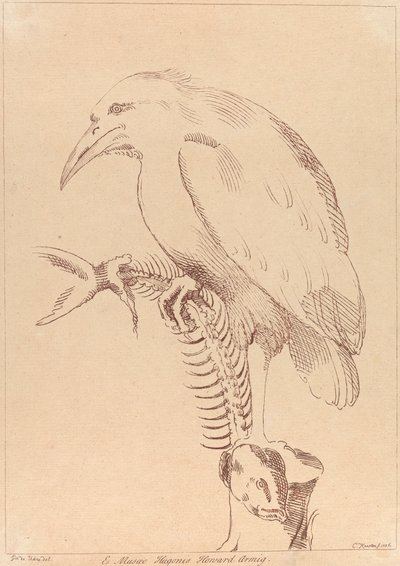 Sans titre : Oiseau tenant un squelette de poisson - George Knapton