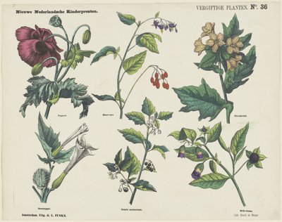 Plantes Vénéneuses - George Lodewijk Funke