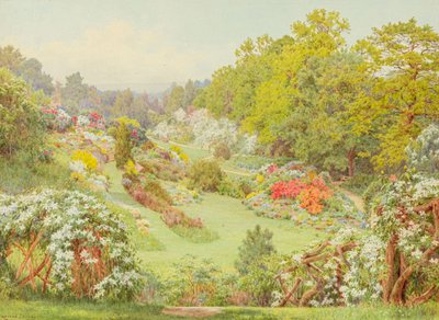Fleurs de printemps - George Marks