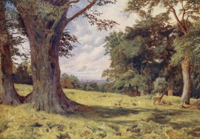 Une clairière dans le parc de Windsor - George Moore Henton
