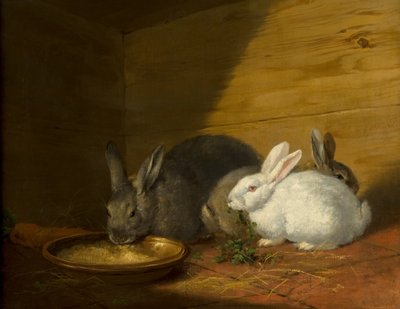 Lapins - George Morland