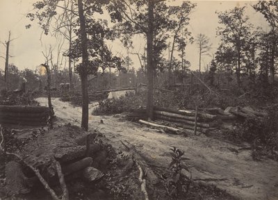 Champ de bataille de New Hope Church, Géorgie - George N. Barnard