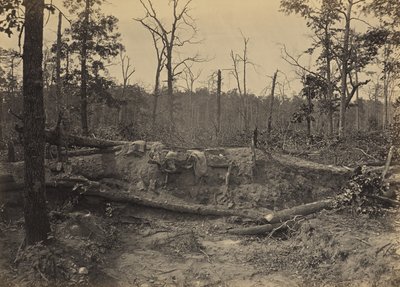 Champ de bataille de New Hope Church, Géorgie, n° 2 - George N. Barnard
