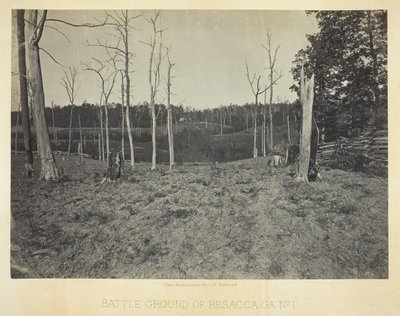 Champ de bataille de Resacca, GA, No. 1, 1866 - George N. Barnard