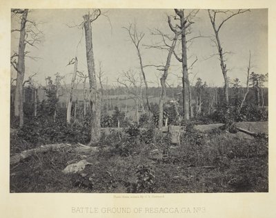 Champ de bataille de Resacca, GA, n° 3 - George N. Barnard