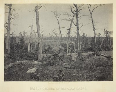Champ de bataille de Resacca, GA, No. 3, 1866 - George N. Barnard