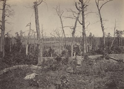 Champ de bataille de Resacca, Géorgie n° 3, années 1860 - George N. Barnard