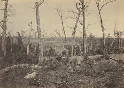 Champ de bataille de Resaca, Géorgie, No 3,1864 (photo) - George N. Barnard