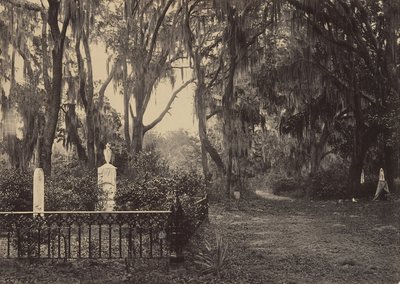 Buen-Ventura, Savannah, Géorgie, années 1860 - George N. Barnard