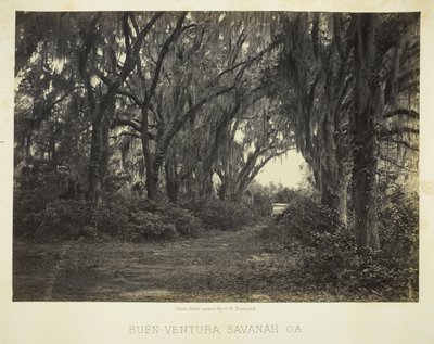 Buen-Ventura Savannah, Ga. - George N. Barnard