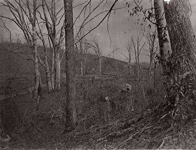 Bull Run, Virginie, 1861-62 - George N. Barnard