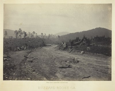 Buzzard Roost, GA - George N. Barnard