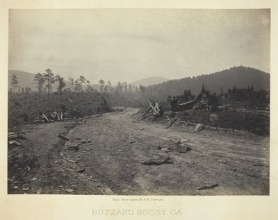 Buzzard Roost, GA - George N. Barnard
