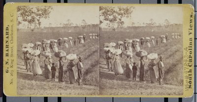 Retour des champs de coton en Caroline du Sud - George N. Barnard