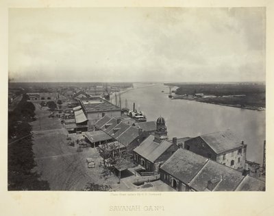 Savannah, GA, No. 1, 1866 - George N. Barnard
