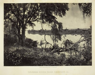 Rivière Savannah, près de Savannah, GA, 1866 - George N. Barnard
