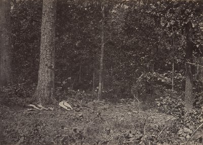 Scène de la mort du général McPherson, 1864 ou 1866 - George N. Barnard