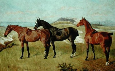 Trois chevaux : Whissendine, Swallow et Tiptop - George Paice