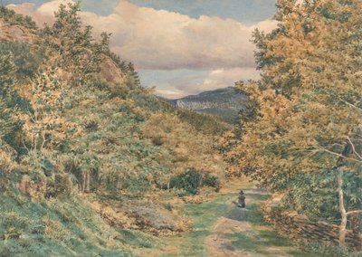 Une route près de Bettws-y-Coed - George Price Boyce