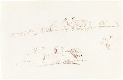 Études de moutons dans un pâturage - George Richmond