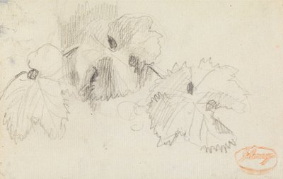 Étude des feuilles 1 - George Romney