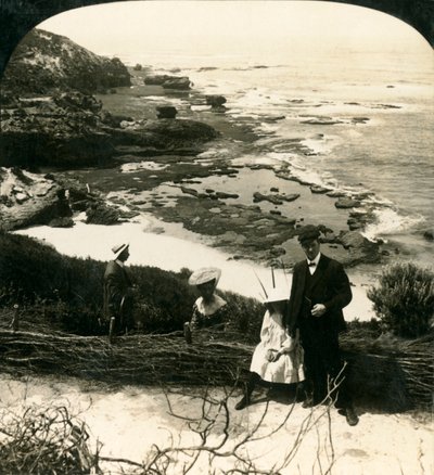 Marée basse à Back Beach, Sorrento, Victoria, Australie - George Rose