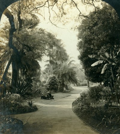 Sentier dans le Queens Park, Brisbane, Australie, vers 1909 - George Rose