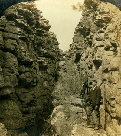 Avenue du Pays des Merveilles, ou la Rue Silencieuse, Grampians, Victoria, Australie, 1908 - George Rose