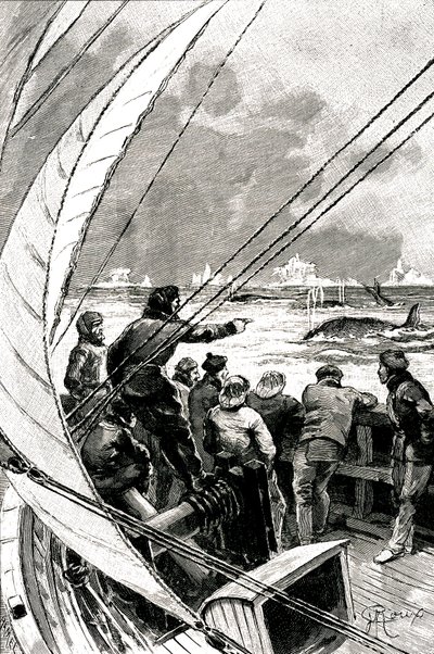 En mer vers le Pôle : l