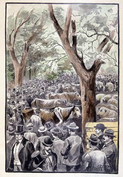 La foule se pressait déjà sur le lieu du concours (page 259) dans "Testament d