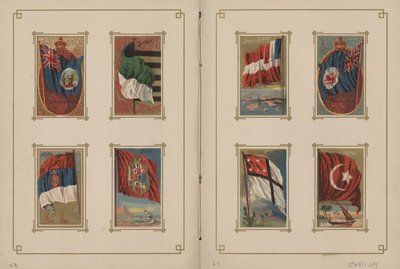 Drapeaux de toutes les nations et des États-Unis d