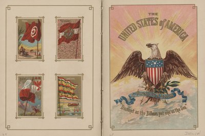 Drapeaux de toutes les nations et des États-Unis d