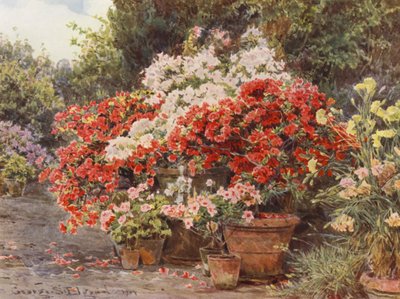 Jardins italiens : Azalées - George Samuel Elgood