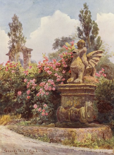 Jardins italiens : Roses de Chine, Villa Imperiali - George Samuel Elgood