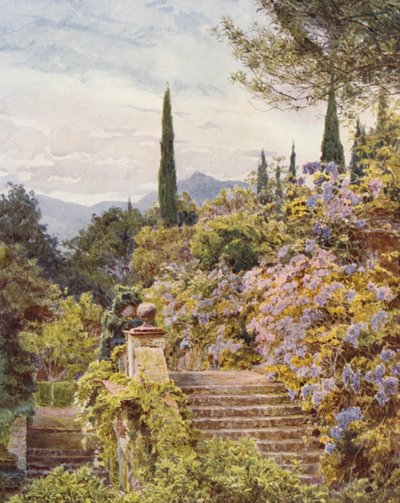 Jardins italiens : Glycine, Villa Cavagnaro - George Samuel Elgood