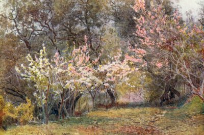  - George Samuel Elgood