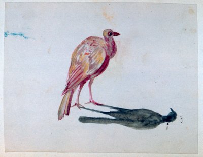 Oiseau, 1820-1876 - George Sand