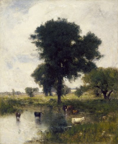 Bétail dans une piscine (paysage d