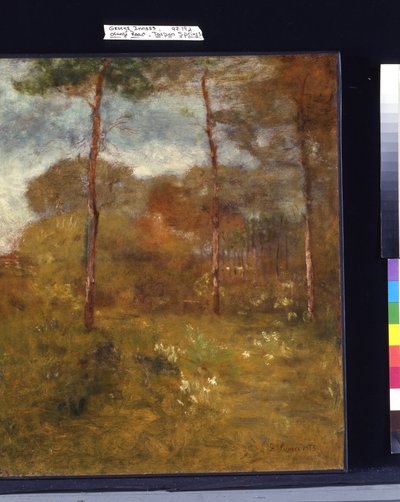Route Orange, Tarpon Springs - George Snr. Inness