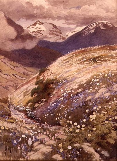 Fleurs alpines - George Soper