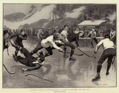 Sport d