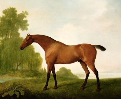 Un pur-sang bai dans un paysage - George Stubbs